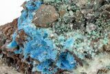 Vibrant Blue, Cyanotrichite Crystal Aggregates - China #218400-1